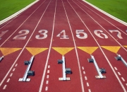 PG中国登录入口-2026世界杯F组惊魂夜，哥斯达黎加横扫法国，卢卡库的孤独星光与一场战术革命的预演