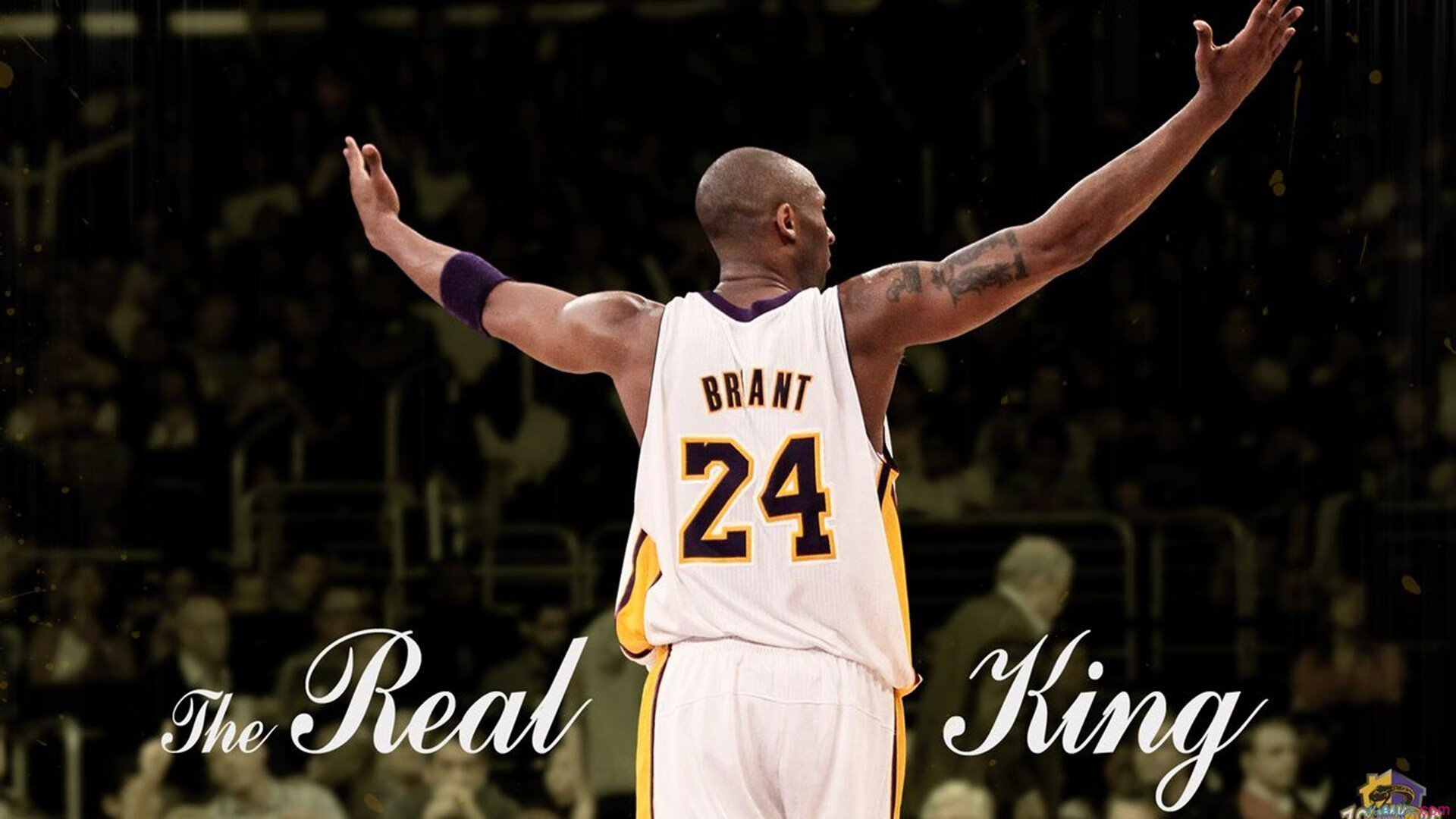 火箭轻取凯尔特人,武切维奇如何从配角蜕变为关键先生