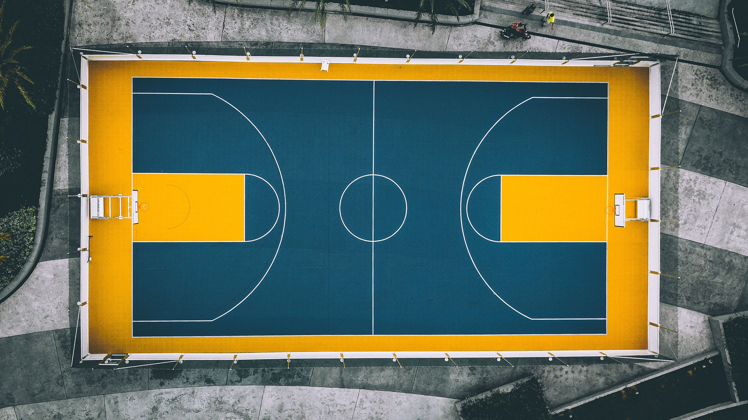 唯一法则，当字母哥在西甲国家德比接管比赛，国王如何压制灰熊的西部霸权